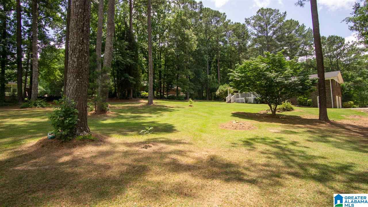 1313 Reds Road Bessemer, AL 35022 - Photo 40 of 44