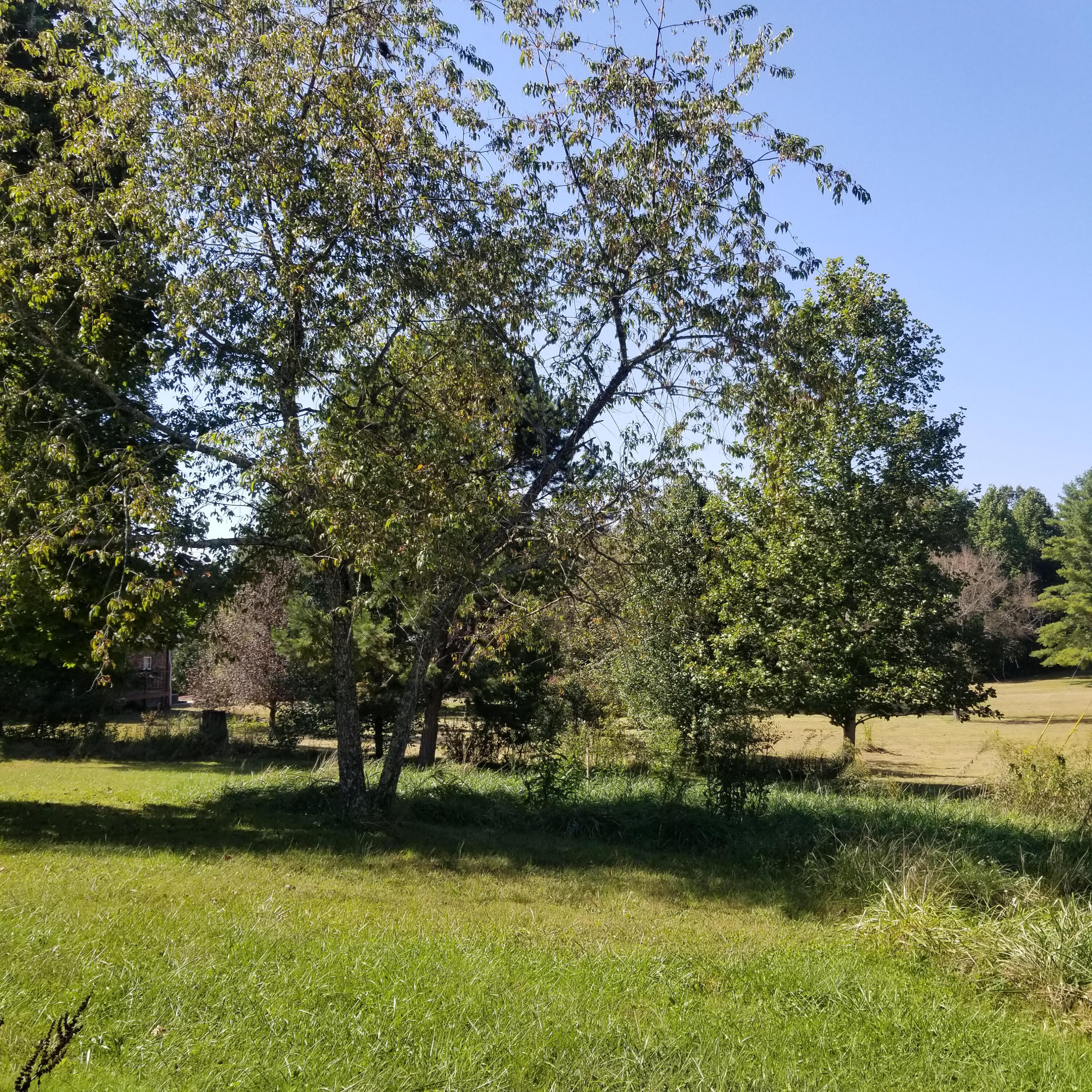 328 Summers Hill Road Sunbright, TN 37872 - Photo 4 of 16 14