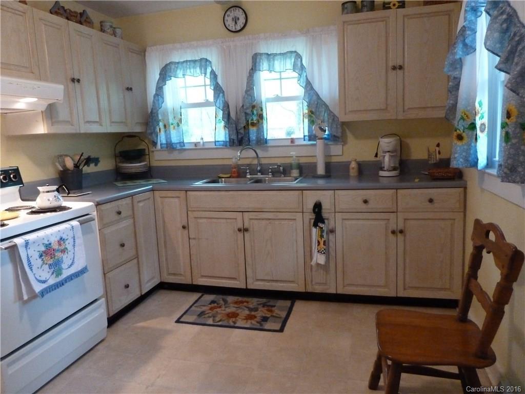 3 Wall Road Tryon, NC 28782 - Photo 10 of 18