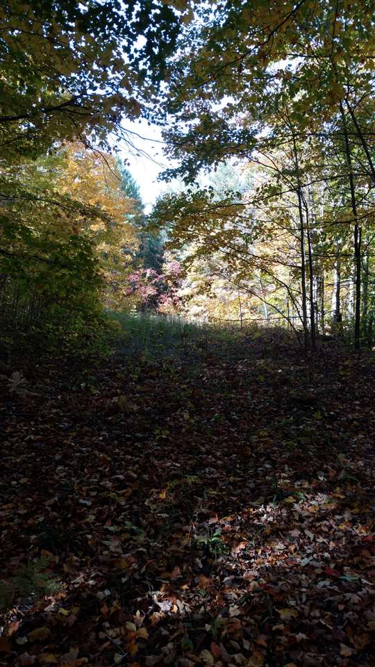 18846 Bronson Lake Road Interlochen, MI 49643 - Photo 10 of 15 1839803-9.JPG
