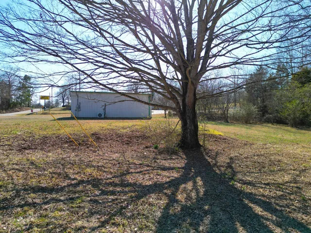 a view of a yard with a house and large trees