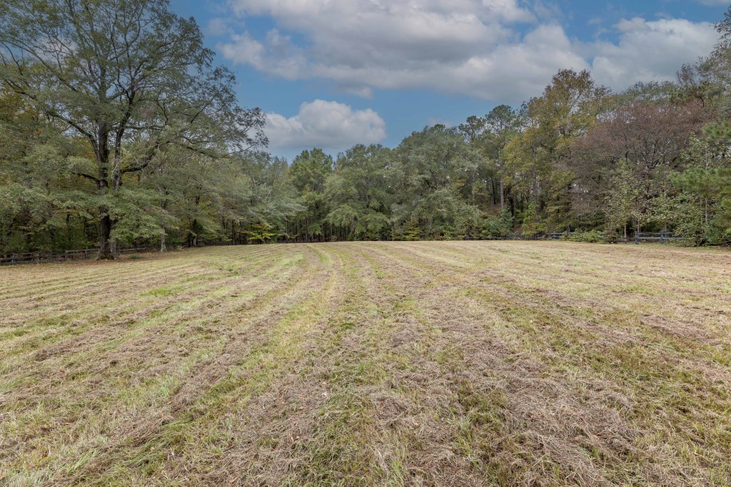 7901 Shallowford Road Upatoi, GA 31829 - Photo 3 of 89 pasture/paddock