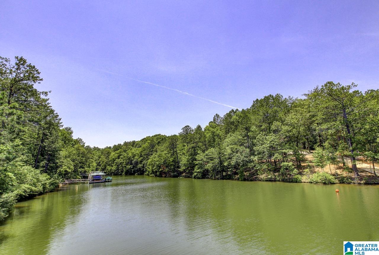 Brookwater Pointe, Unit 11 Wedowee, AL 36278 - Photo 2 of 8