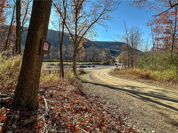 $115,000 | Vl Lot 3 Vl Road, Cameron, NY 14819