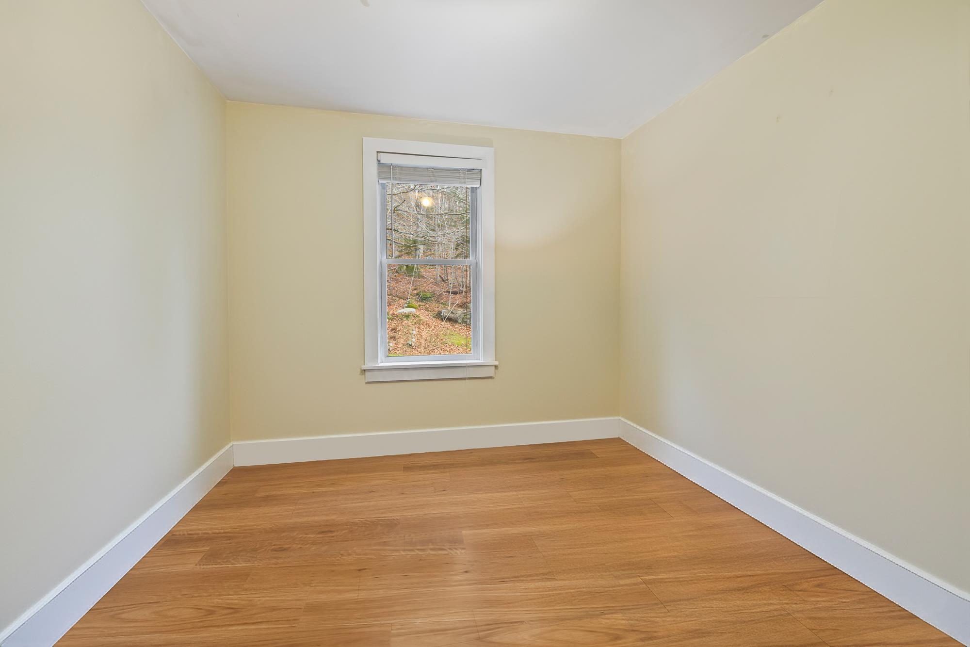 351 Miller Pond Road Grantham, NH 03753 - Photo 26 of 37