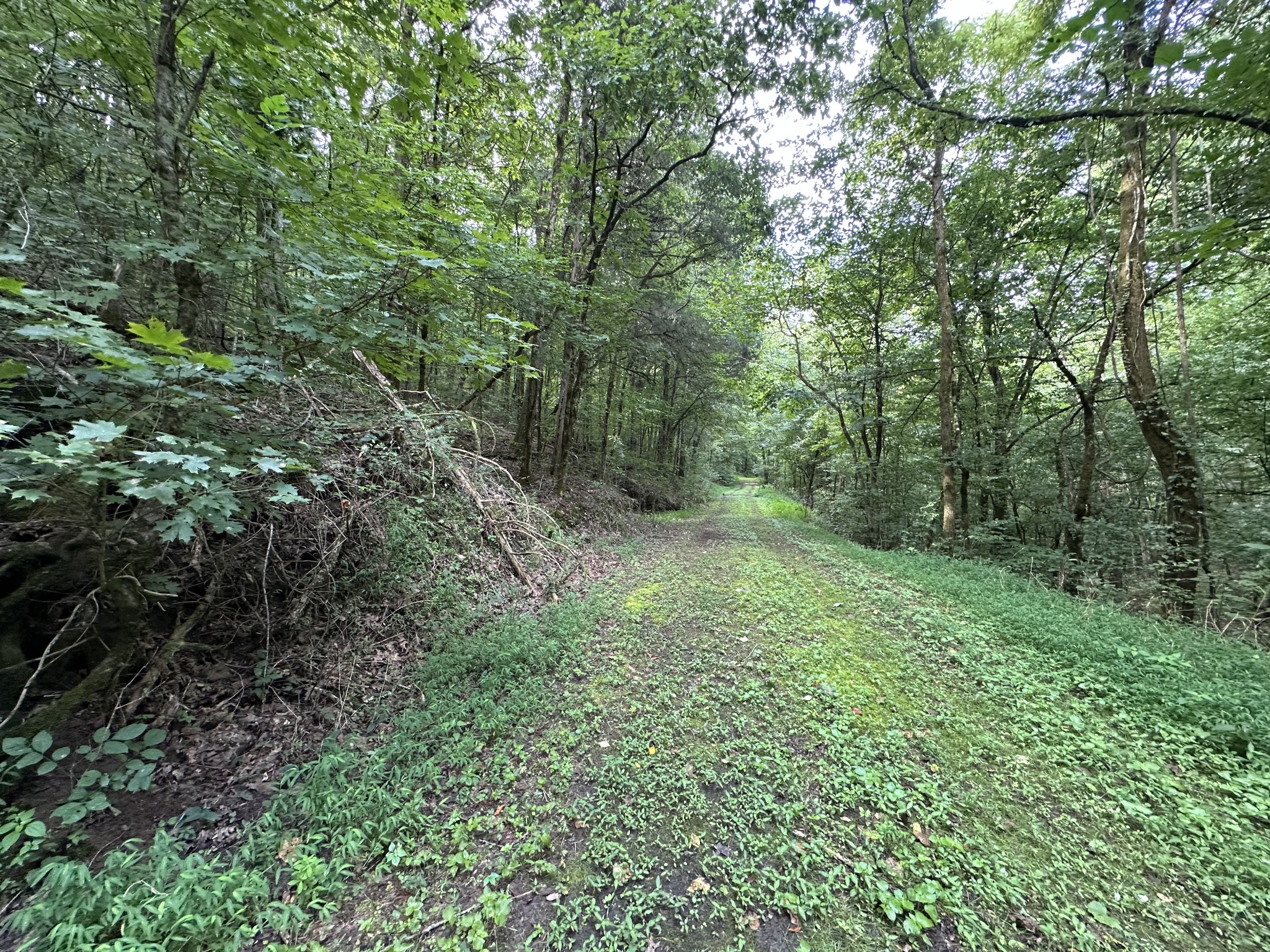 268 Ben Gentry Road Elmwood, TN 38560 - Photo 26 of 36 Gallery Image 26