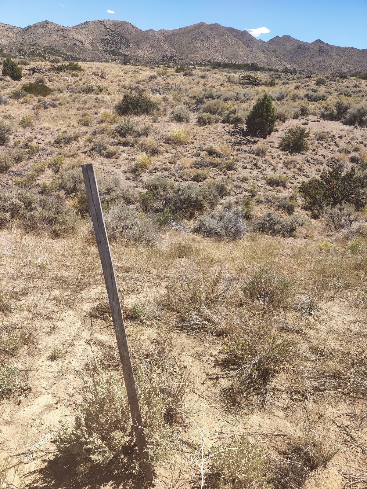 Bedell Road Reno, NV 89508 - Photo 7 of 15
