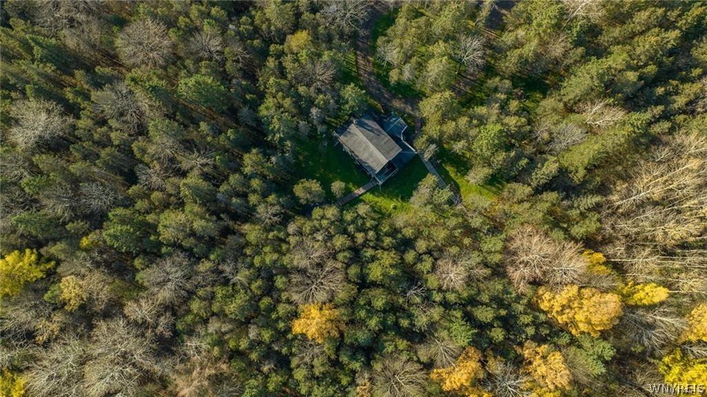 3241 Syler Road Varysburg, NY 14167 - Photo 21 of 34