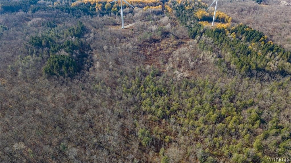 3241 Syler Road Varysburg, NY 14167 - Photo 30 of 34