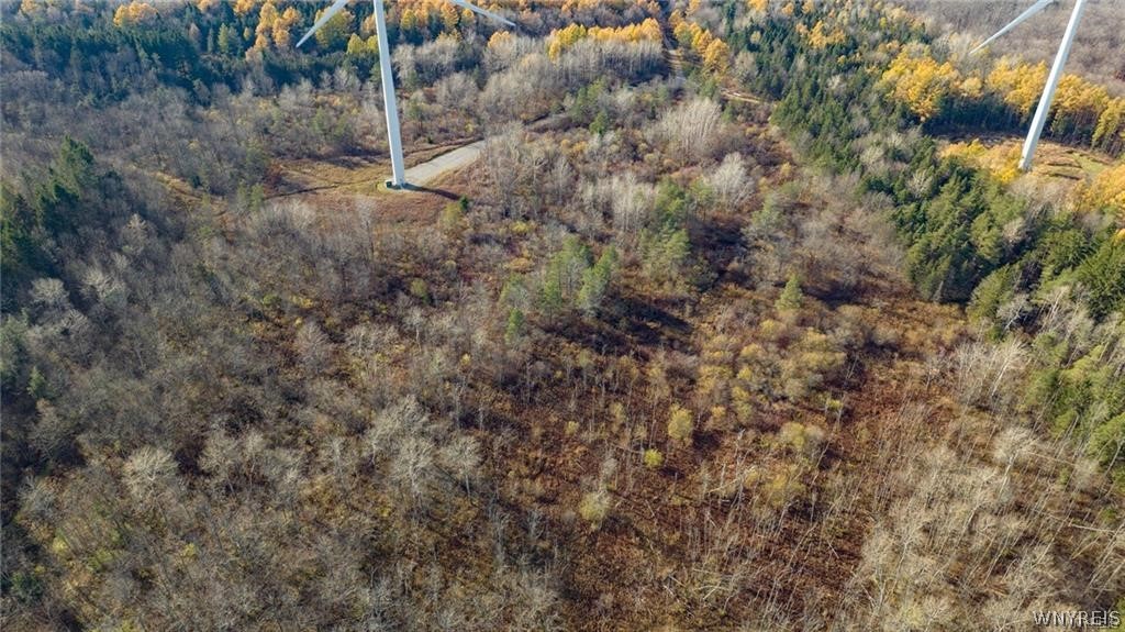 3241 Syler Road Varysburg, NY 14167 - Photo 32 of 34