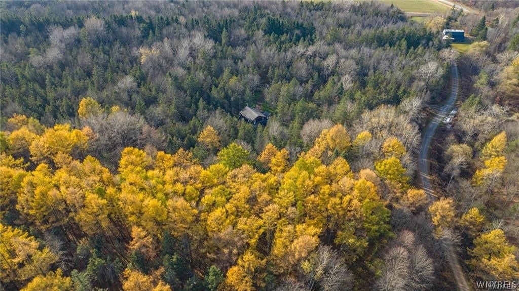 3241 Syler Road Varysburg, NY 14167 - Photo 34 of 34
