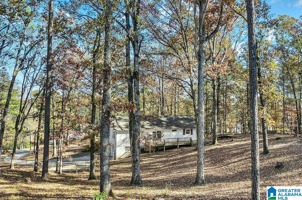 1226 Dunham Lane Helena, AL 35080 - Photo 53 of 62