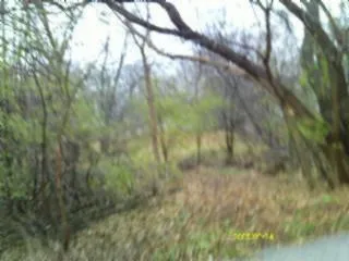 a view of location