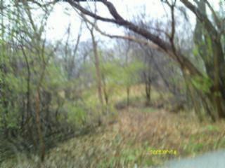 28624 West Kendall Avenue Spring Grove, IL 60081 - Photo 5 of 5 a view of location