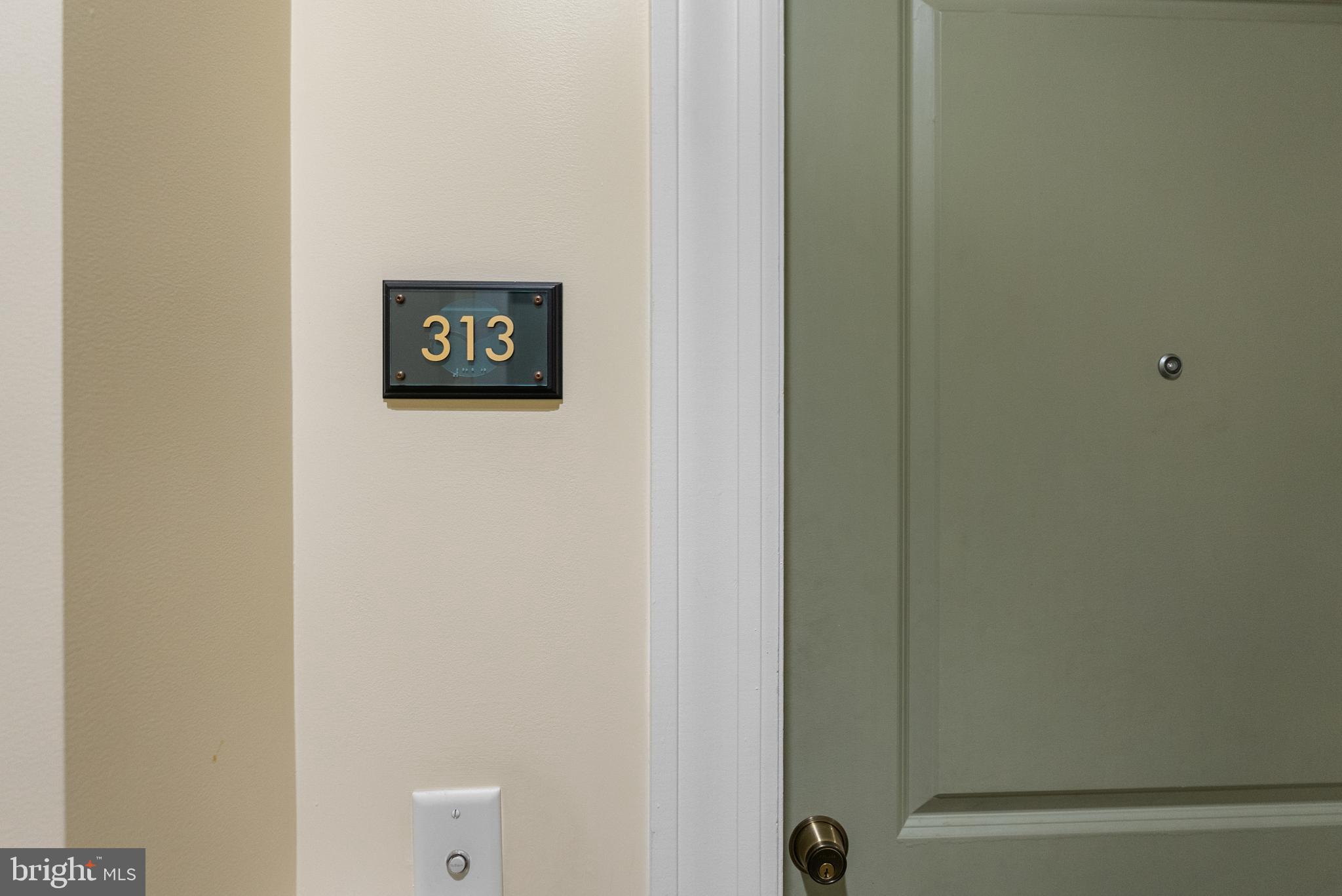 401 13th Street Northeast, Unit 313 Washington, DC 20002 - Photo 7 of 45 Welcome to 303