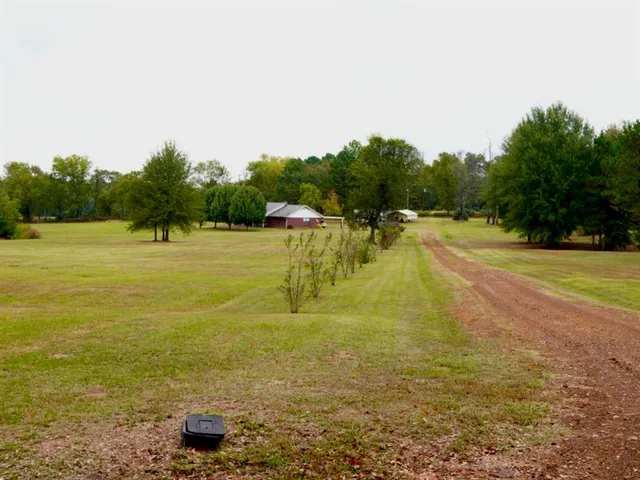 a view of an ocean and beach
