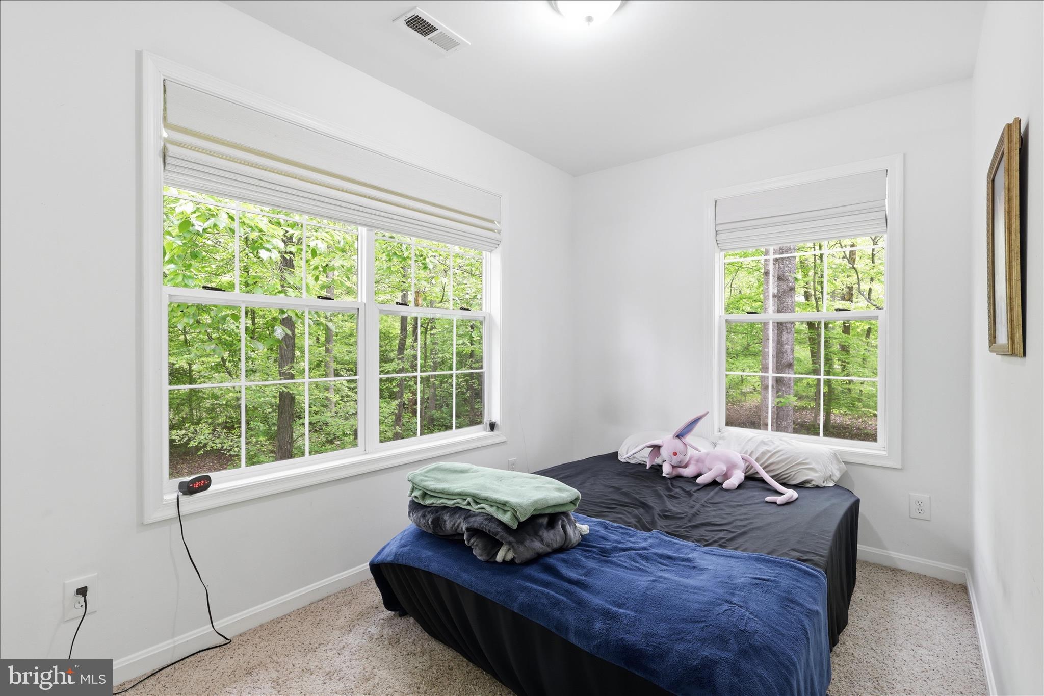515 Shelton Shop Road Stafford, VA 22554 - Photo 31 of 52 a living room with a bed and large window