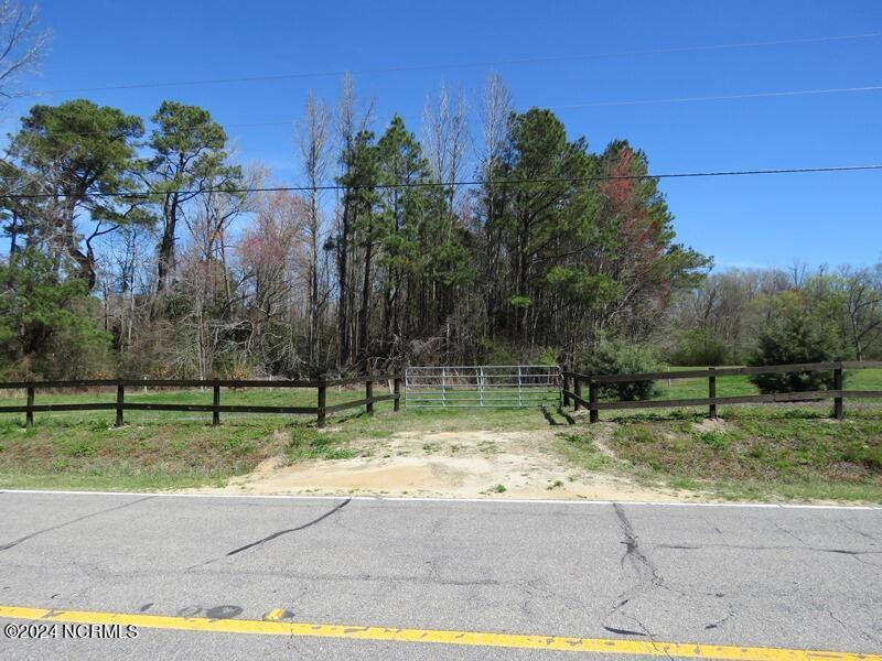 Tbd Regan Church Road Lumberton, NC 28358 - Photo 18 of 18 IMG_7529
