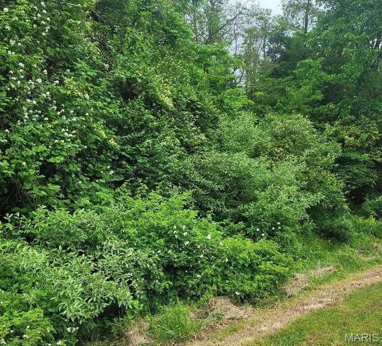 16354 Clayton Road Wildwood, MO 63011 - Photo 6 of 7