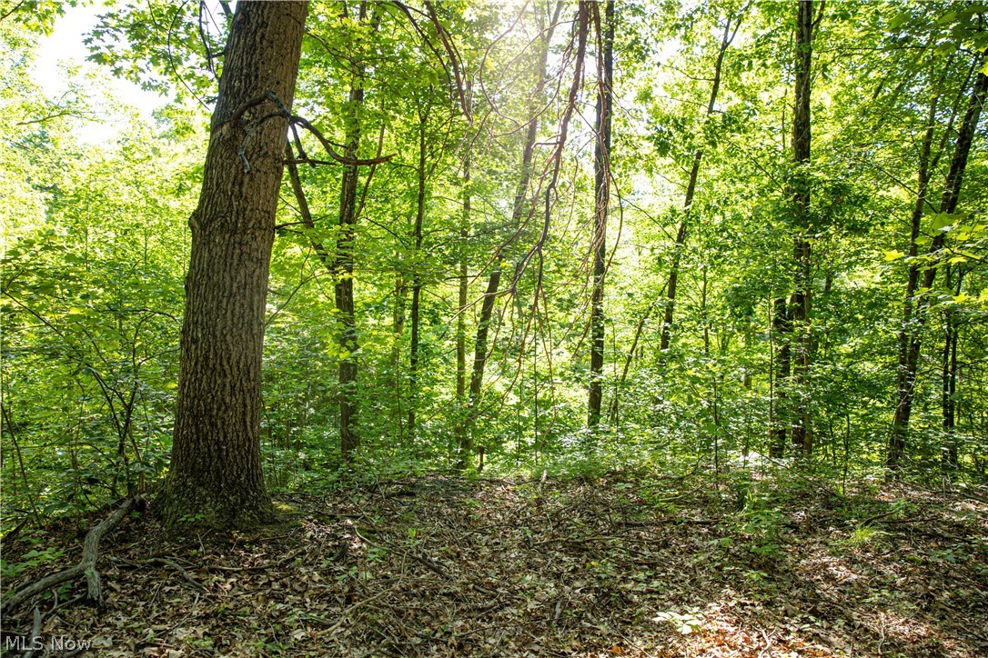 4185 Baughman Run Road Roseville, OH 43777 - Photo 20 of 29
