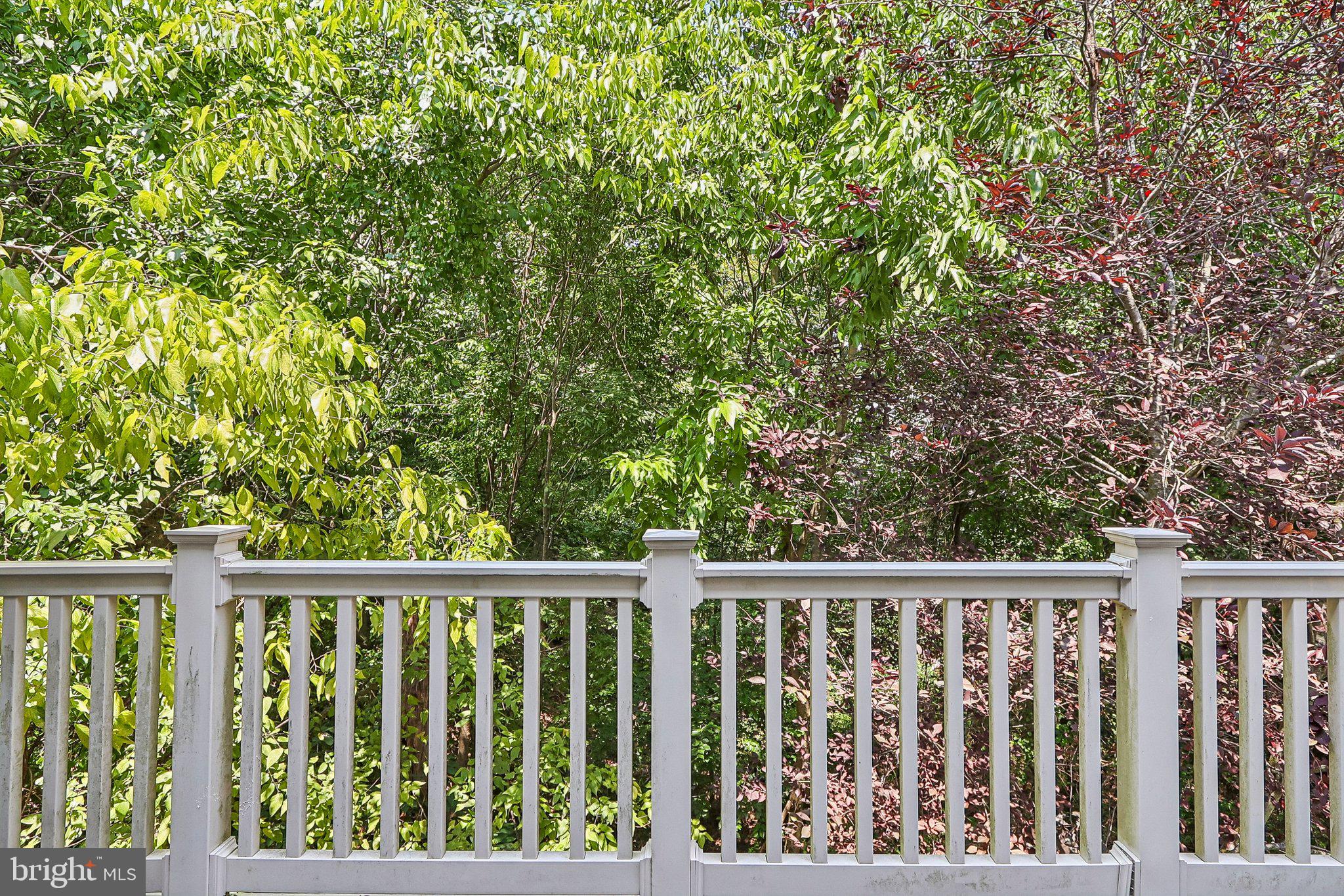 2808 St Marys View Road Accokeek, MD 20607 - Photo 47 of 49 Backyard