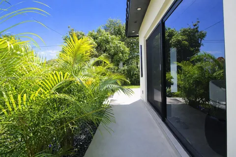 a view of a potted plants with sky view