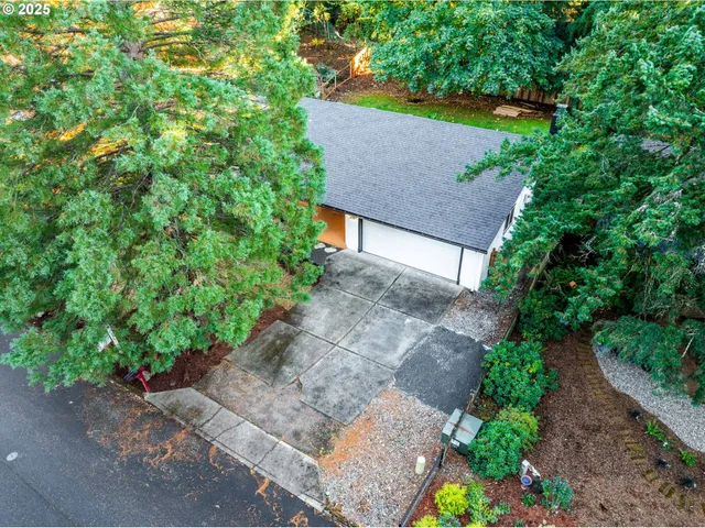 a view of a yard in front of a house with a yard