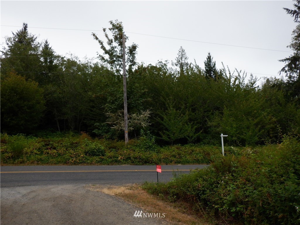 617 Stamford Road Southwest Lakebay, WA 98349 - Photo 3 of 10 Gallery Image 3