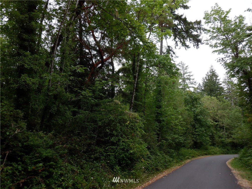 617 Stamford Road Southwest Lakebay, WA 98349 - Photo 8 of 10 Gallery Image 8