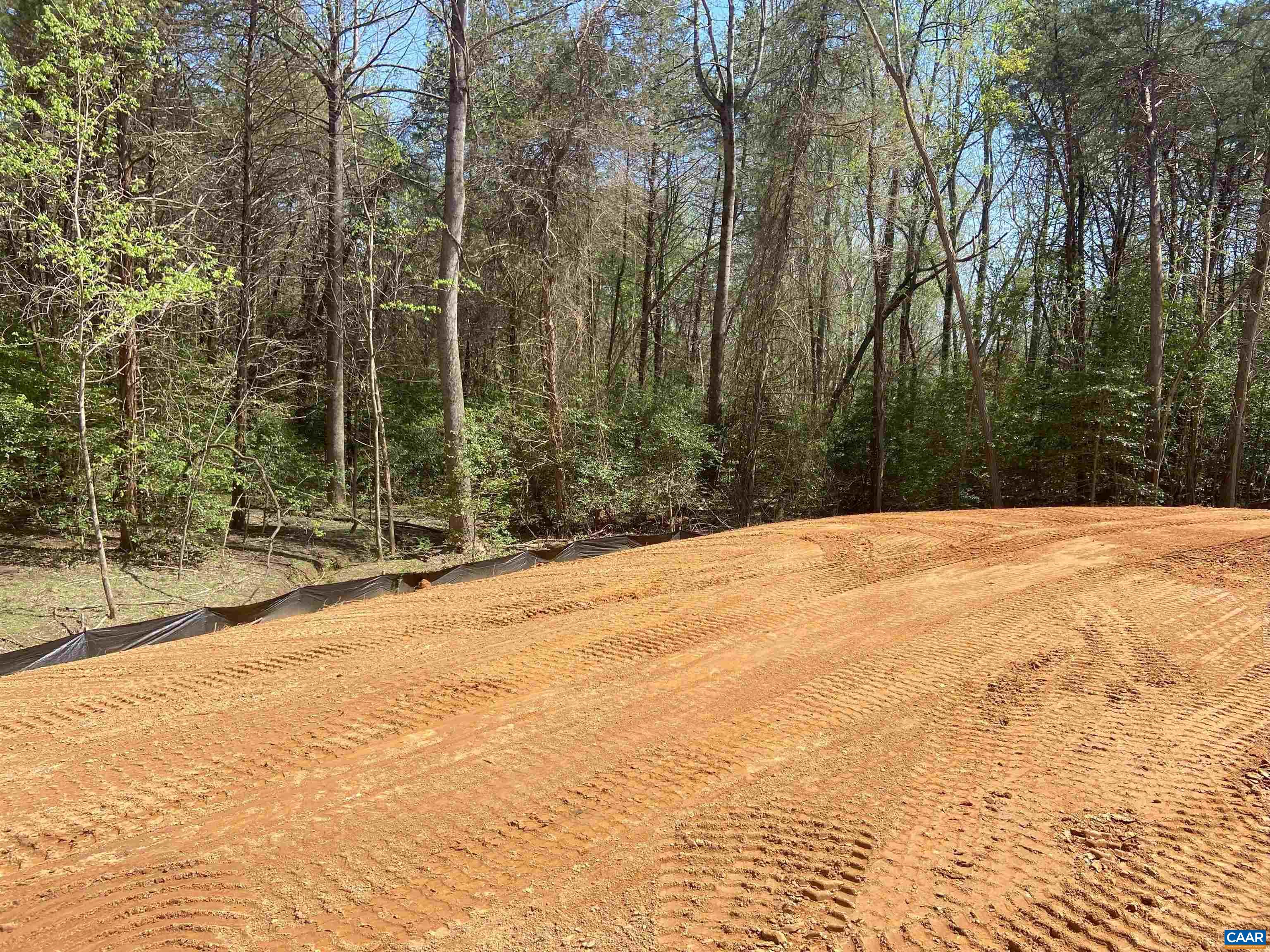 3 B Lonicera Way Charlottesville, VA 22911 - Photo 21 of 22 a view of backyard space and trees