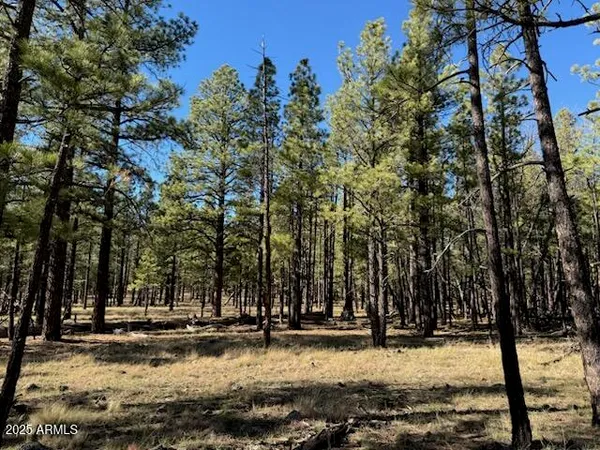 $560,000 | Lot 3 North L N Quintana Drive, Flagstaff, AZ 86001