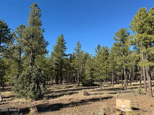$560,000 | Lot 3 North L N Quintana Drive, Flagstaff, AZ 86001