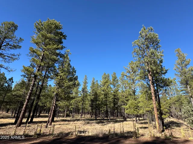 $560,000 | Lot 3 North L N Quintana Drive, Flagstaff, AZ 86001