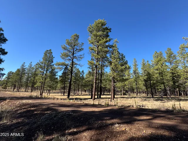 $560,000 | Lot 3 North L N Quintana Drive, Flagstaff, AZ 86001