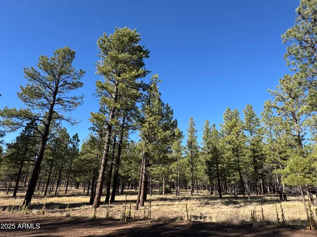 $560,000 | Lot 3 North L N Quintana Drive, Flagstaff, AZ 86001