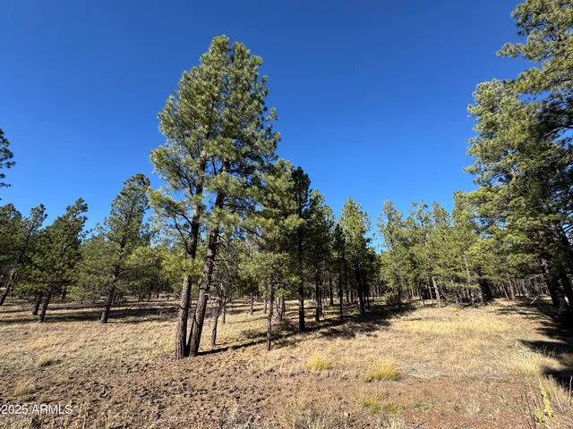 $560,000 | Lot 3 North L N Quintana Drive, Flagstaff, AZ 86001