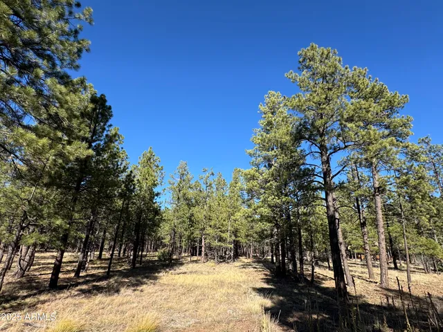$560,000 | Lot 3 North L N Quintana Drive, Flagstaff, AZ 86001