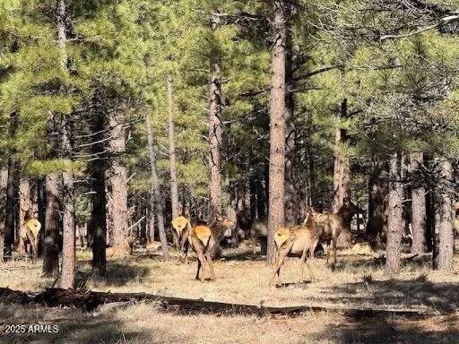 $560,000 | Lot 3 North L N Quintana Drive, Flagstaff, AZ 86001