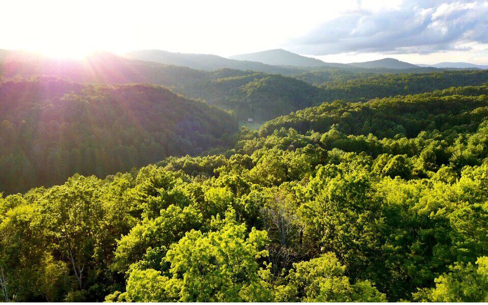 Maxwell Mountain Road Blue Ridge, GA 30513 - Photo 1 of 1 Main View