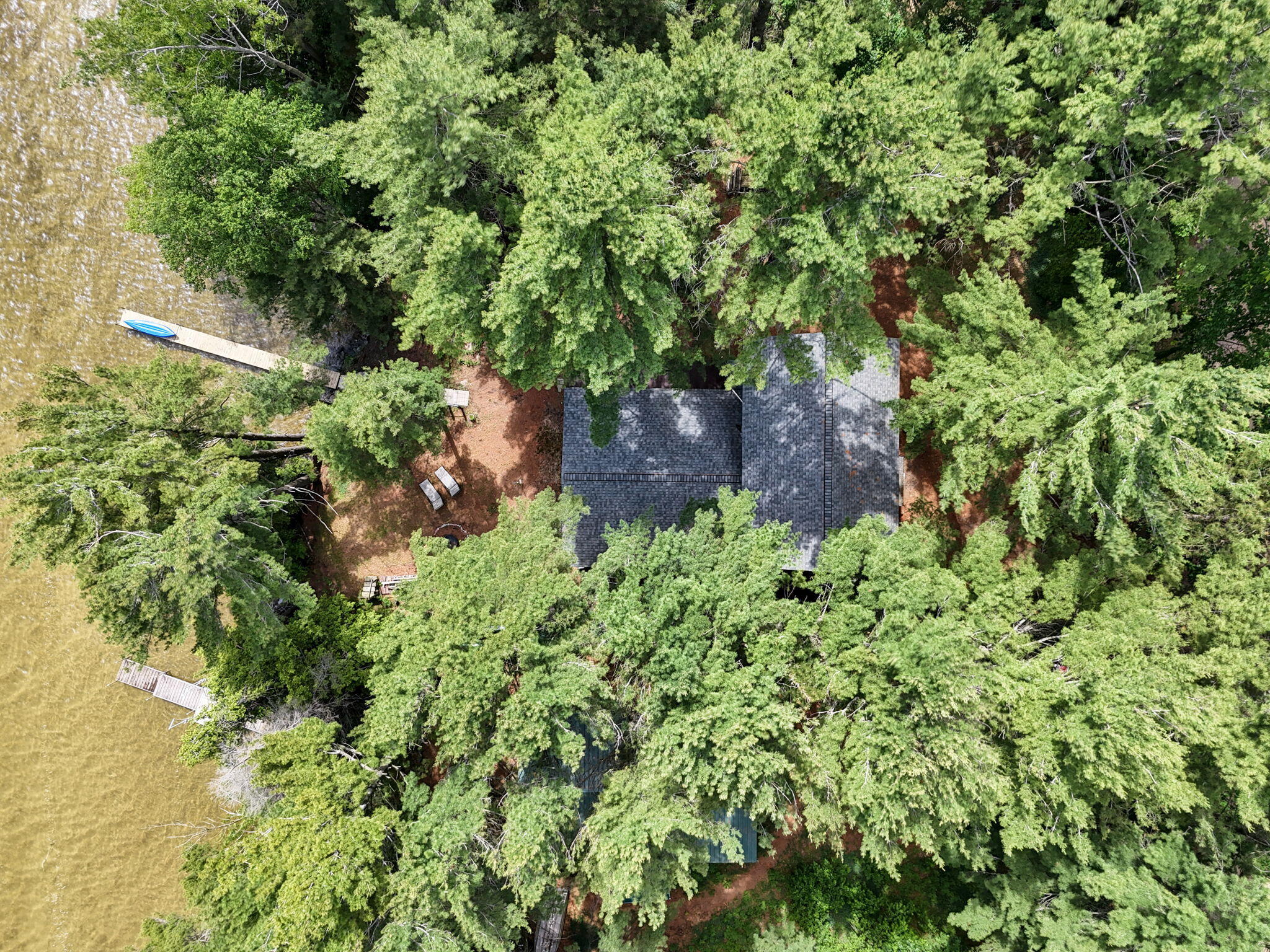 6823 3 Pines Road Bear Lake, MI 49614 - Photo 4 of 66 DJI_20260611123842_0621_D