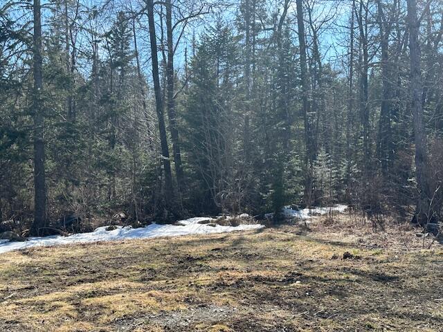 14 Greenville Road Shirley Mills, ME 04485 - Photo 26 of 28 IMG_0841