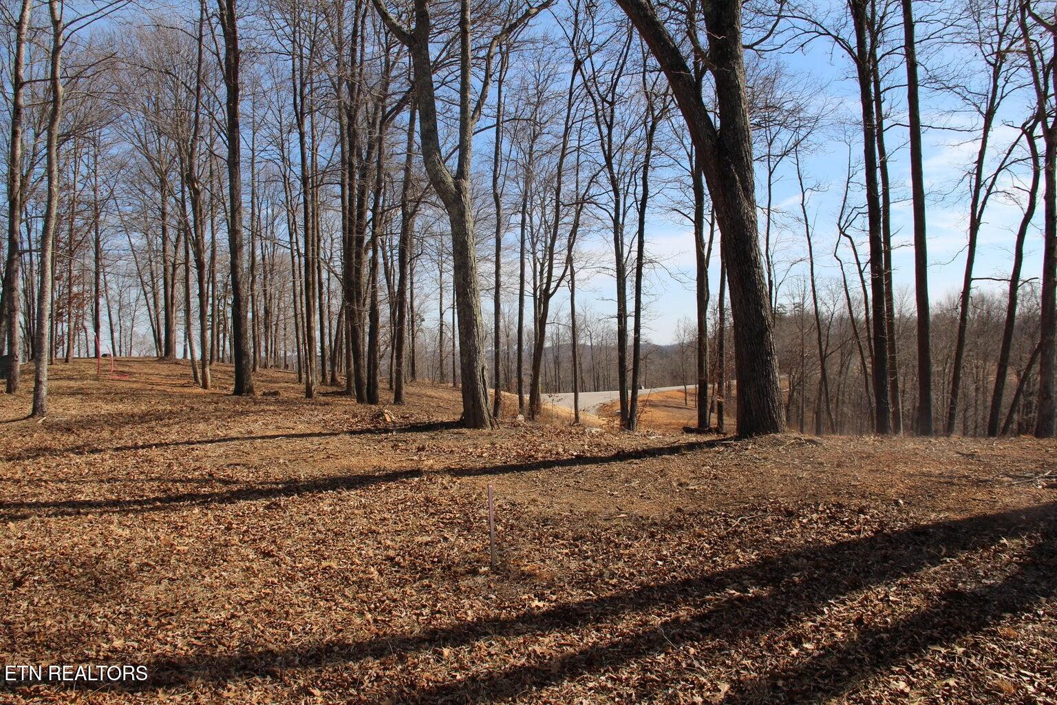 Hickory Way La Follette, TN 37766 - Photo 3 of 9 Lot546pic