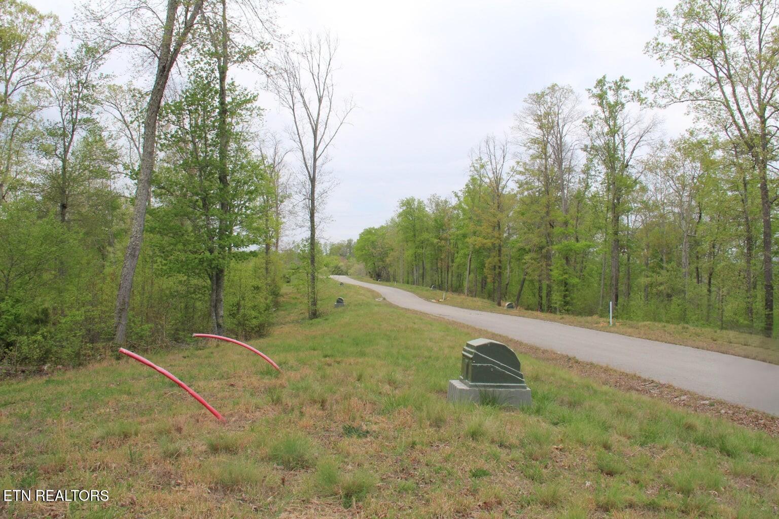 Hickory Way La Follette, TN 37766 - Photo 4 of 9 546Pic