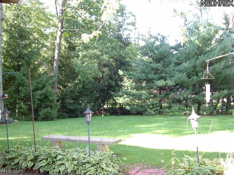6117 Hillside Road Independence, OH 44131 - Photo 6 of 21 Backyard - view 2