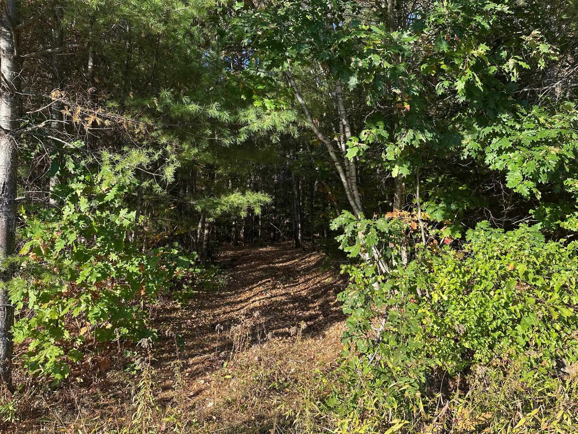 19 Sunrise Hill Road Thornton, NH 03285 - Photo 3 of 9