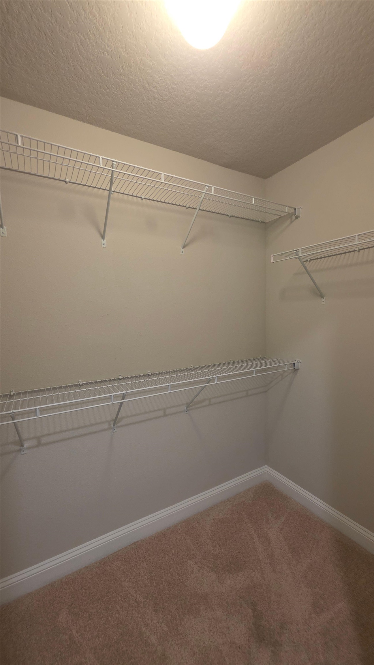 721 Navarez Street St. Augustine, FL 32084 - Photo 19 of 34 a view of a room with racks on the wall