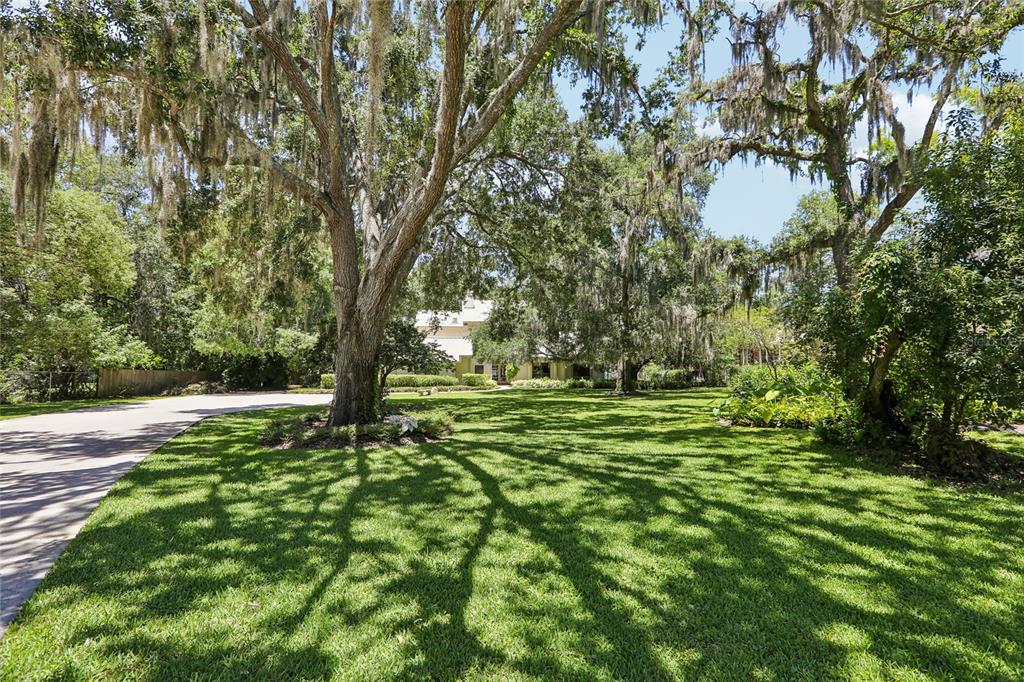 17810 Crawley Road Odessa, FL 33556 - Photo 61 of 76 a big yard with lots of green space and trees