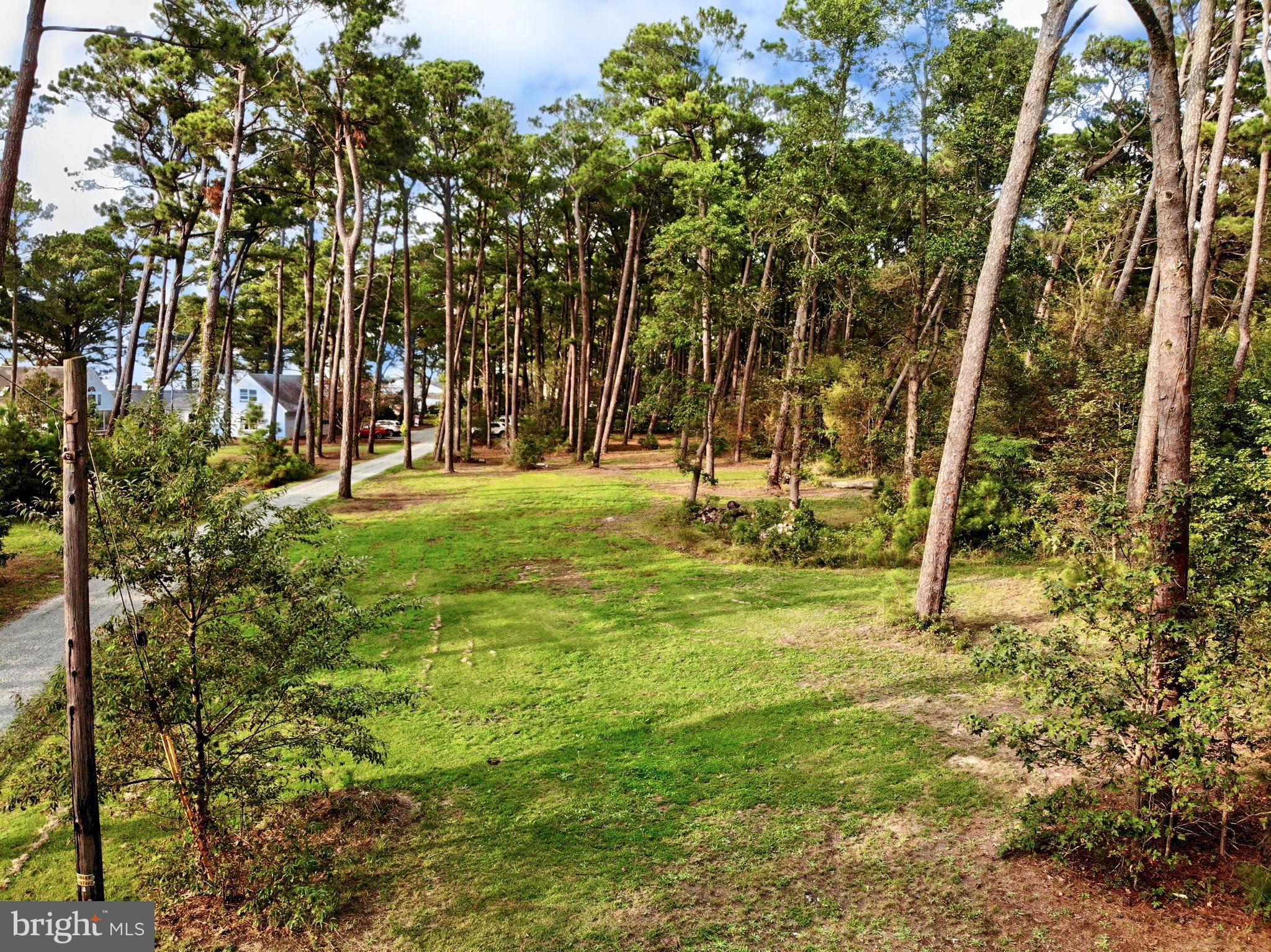 Edelen Webster Road Deal Island, MD 21821 - Photo 4 of 4 Gallery Image 4