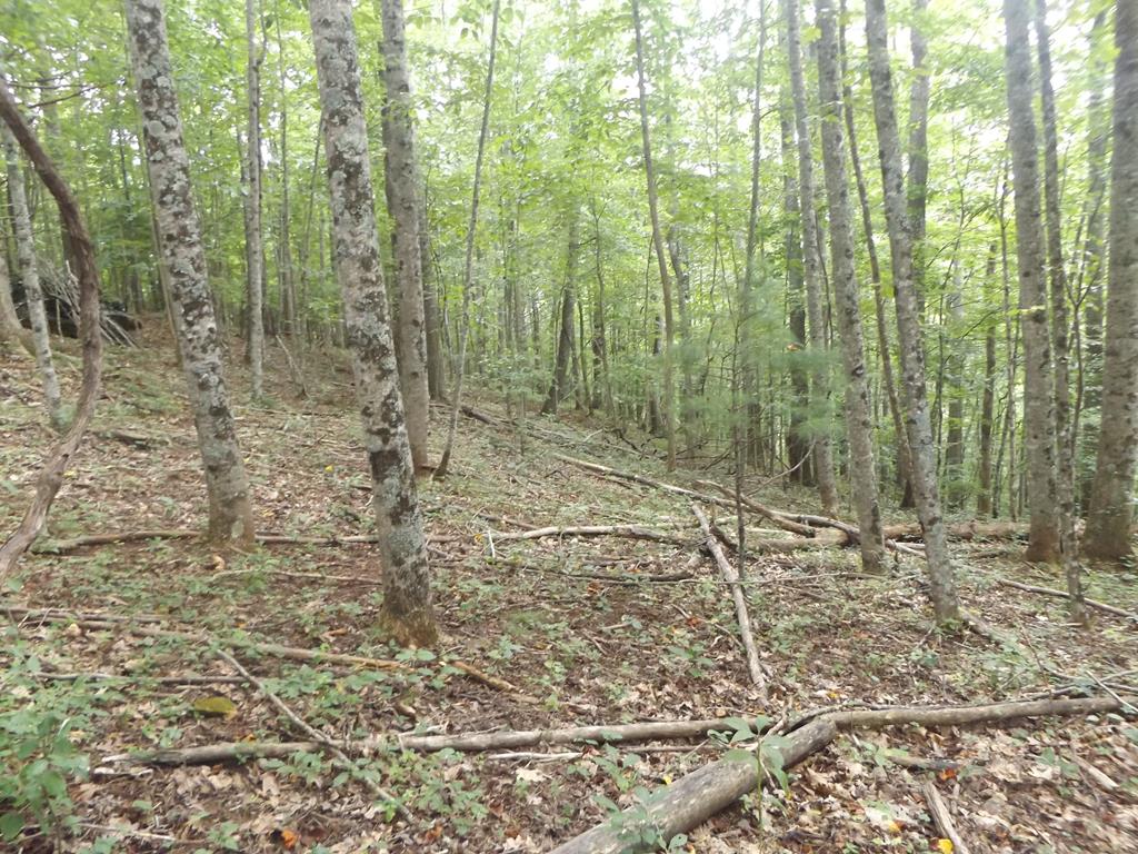 Tbd Kanawha Ridge Road, Unit 9 Dugspur, VA 24325 - Photo 1 of 10 Gallery Image 1