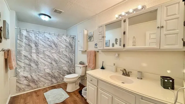 a bathroom with a sink a toilet and a shower curtain